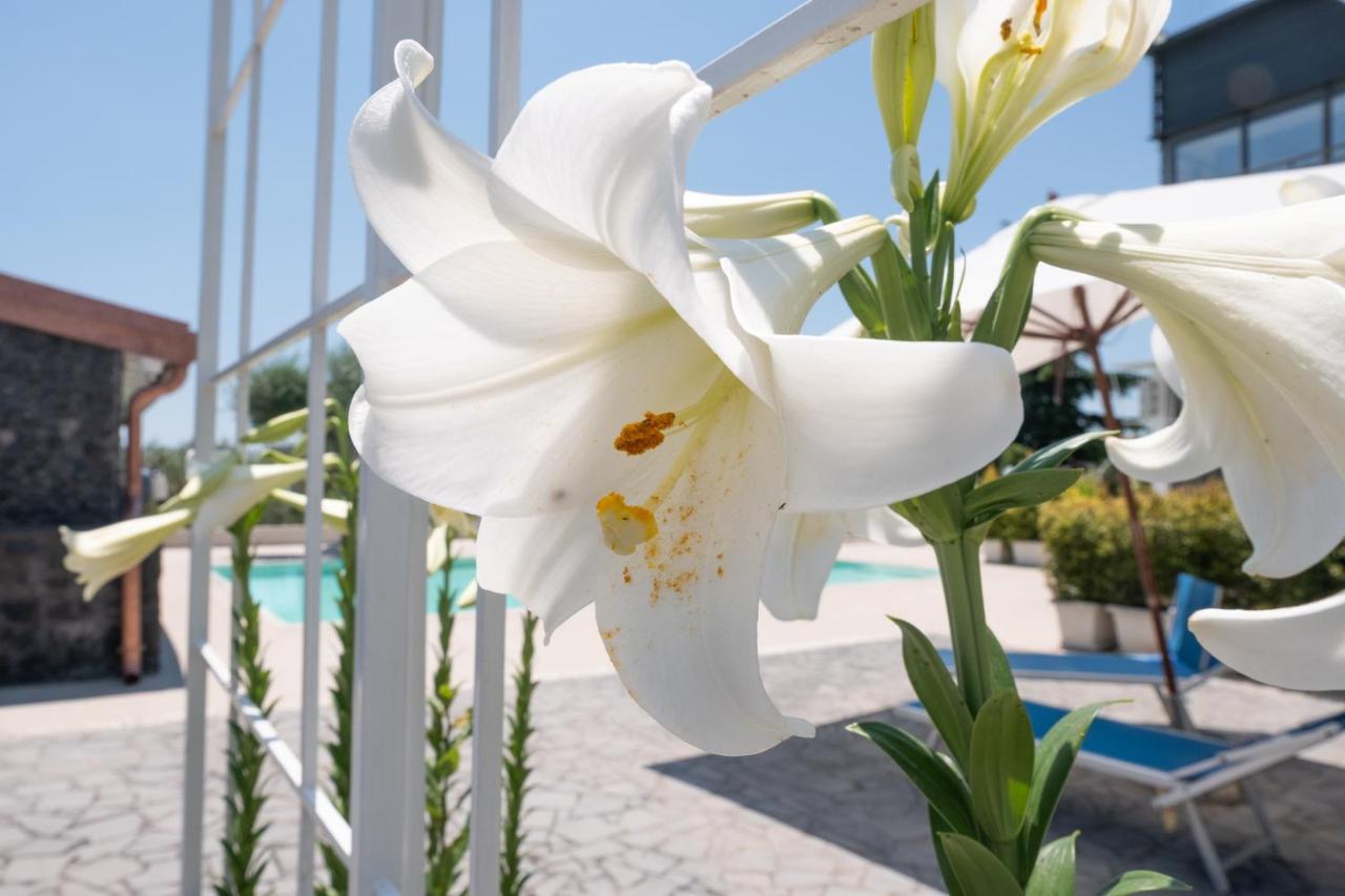 Lux Suite Sicily Mascalucia Eksteriør billede